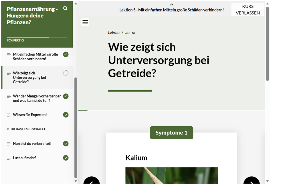 Pflanzenernährung - Hungern deine Pflanzen?